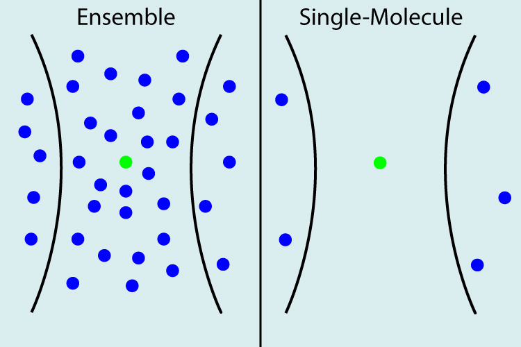 Single-Molecule Spectroscopy
